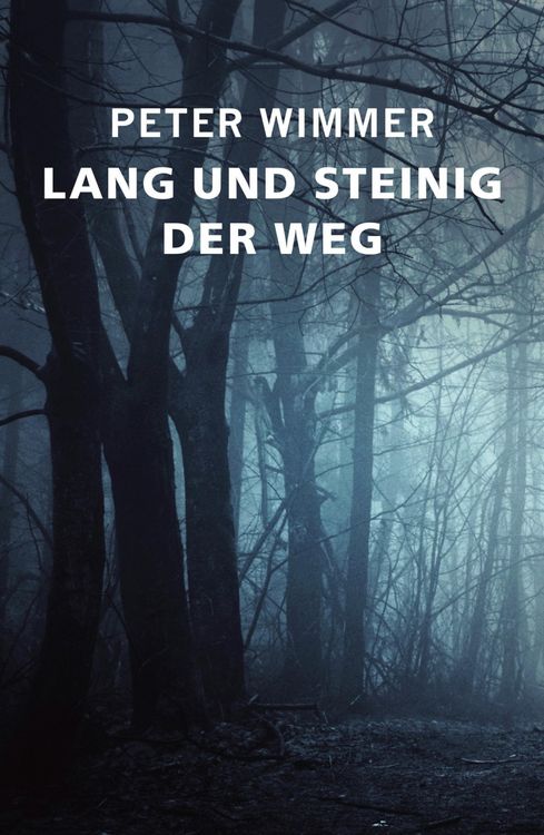 Produktbild: Lang und Steinig der Weg