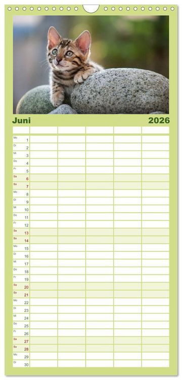 Produktbild: Familienplaner 2026 - Bengalen Outdoor und Action mit 5 Spalten (Wandkalender, 21 x 45 cm) CALVENDO