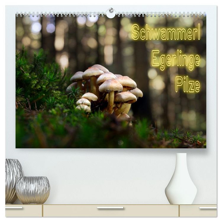 Produktbild: Schwammerl Egerlinge Pilze (hochwertiger Premium Wandkalender 2026 DIN A2 quer), Kunstdruck in Hochglanz