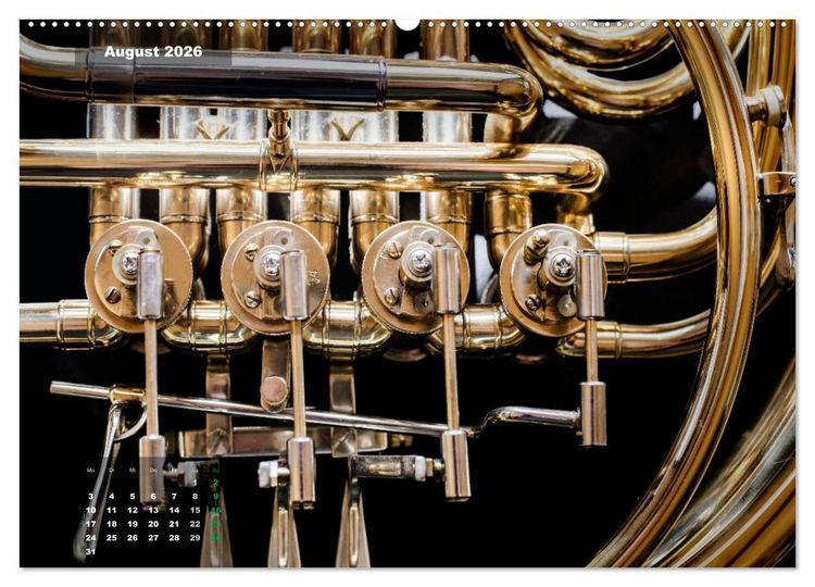 Produktbild: Das Horn, ein herrliches Instrument (hochwertiger Premium Wandkalender 2026 DIN A2 quer), Kunstdruck in Hochglanz
