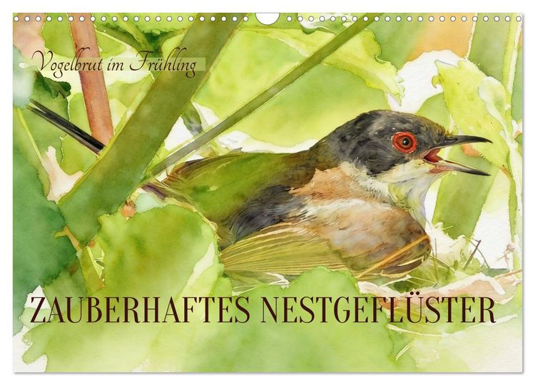 Produktbild: Zauberhaftes Nestgefl&uuml;ster (Wandkalender 2027 DIN A3 quer), CALVENDO Monatskalender
