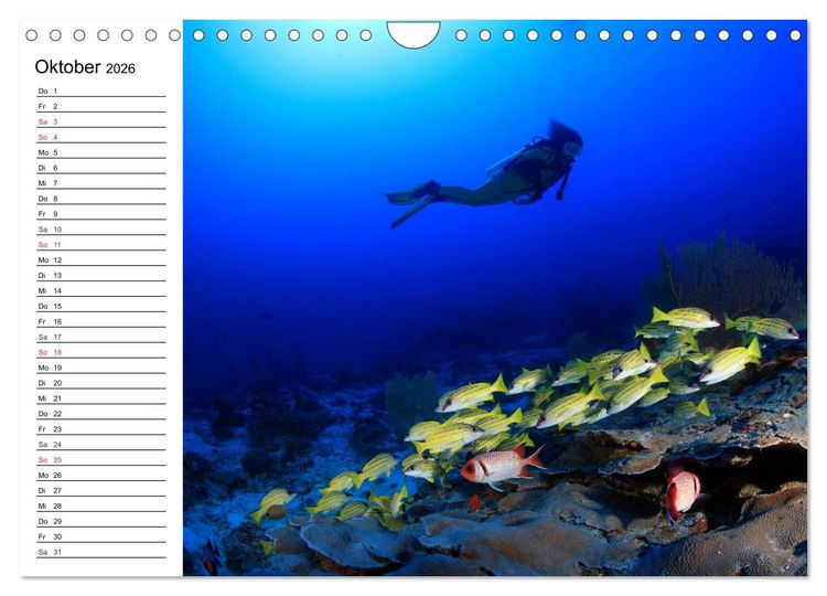 Produktbild: Tauchen - Abenteuer in Neptuns Wunderwelt (Wandkalender 2026 DIN A4 quer), CALVENDO Monatskalender