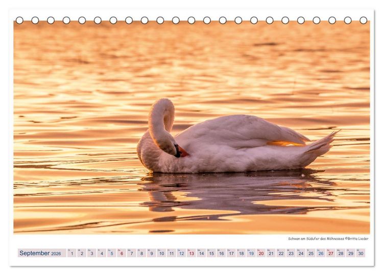 Produktbild: M&ouml;hnesee - das westf&auml;lische Meer (Tischkalender 2026 DIN A5 quer), CALVENDO Monatskalender