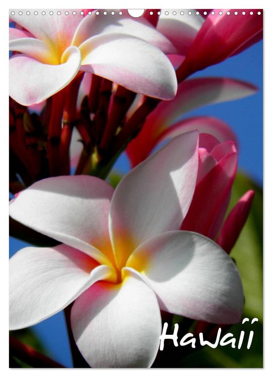 Produktbild: Hawaii (Wandkalender 2026 DIN A3 hoch), CALVENDO Monatskalender