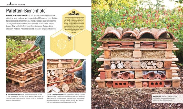 Produktbild: Das Bienen Buch