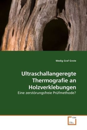 Produktbild: Graf Grote, W: Ultraschallangeregte Thermografie an Holzverk