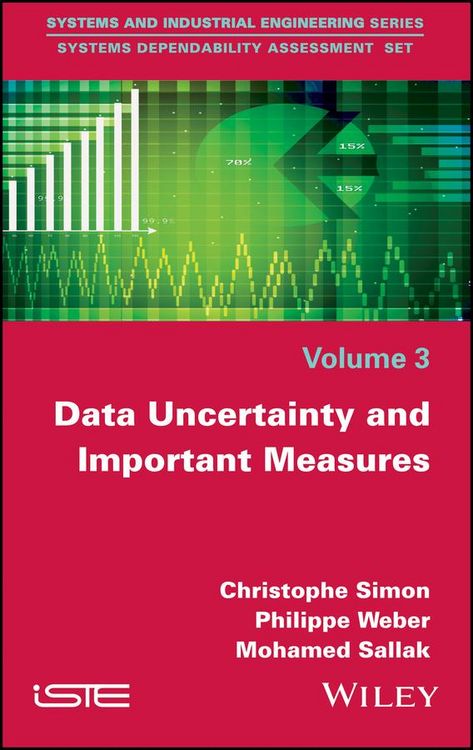 Produktbild: Data Uncertainty and Important Measures