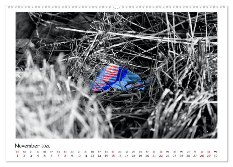 Produktbild: Gestrandet -Treibgut- (hochwertiger Premium Wandkalender 2026 DIN A2 quer), Kunstdruck in Hochglanz