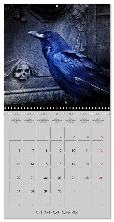 Produktbild: Kisses of dark dreams (Wall Calendar 2026 12 &times; 12 Inch) CALVENDO 12 Month Wall Calendar