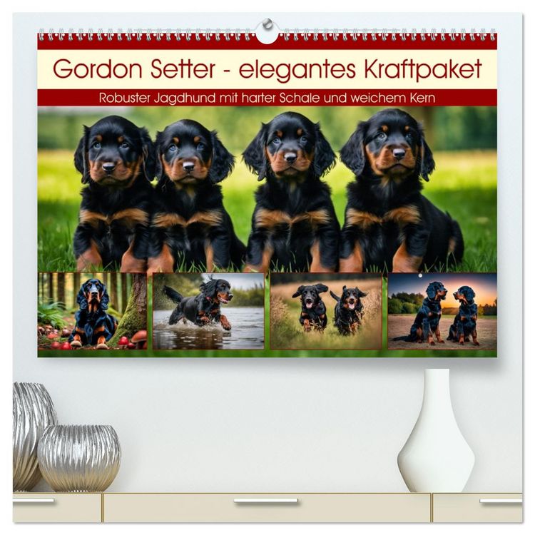 Produktbild: Gordon Setter - elegantes Kraftpaket (hochwertiger Premium Wandkalender 2026 DIN A2 quer), Kunstdruck in Hochglanz