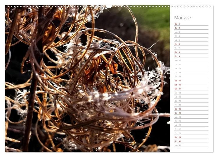 Produktbild: Abstrakte Umwelt (Wandkalender 2027 DIN A2 quer), CALVENDO Monatskalender