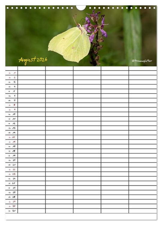 Produktbild: Schmetterlinge in Bayern (Wandkalender 2026 DIN A3 hoch), CALVENDO Monatskalender