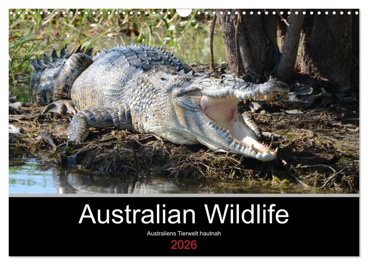 Produktbild: Australian Wildlife (Wandkalender 2026 DIN A3 quer), CALVENDO Monatskalender