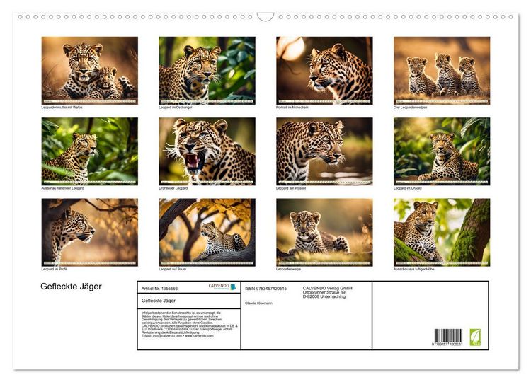 Produktbild: Gefleckte J&auml;ger (Wandkalender 2026 DIN A2 quer), CALVENDO Monatskalender