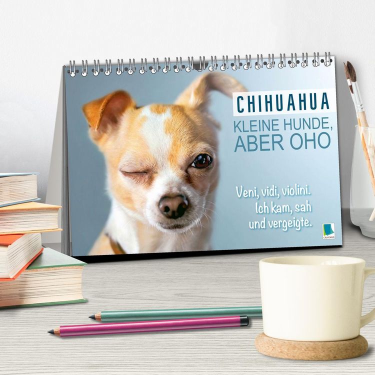 Produktbild: Chihuahua: Kleine Hunde, aber oho (Tischkalender 2026 DIN A5 quer), CALVENDO Monatskalender