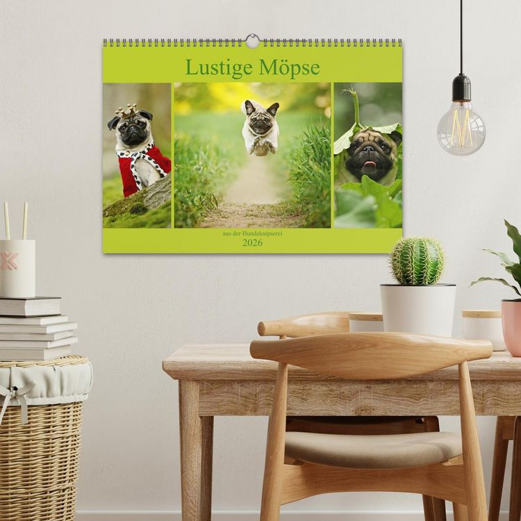 Produktbild: Lustige M&ouml;pse aus der Hundeknipserei (Wandkalender 2026 DIN A3 quer), CALVENDO Monatskalender