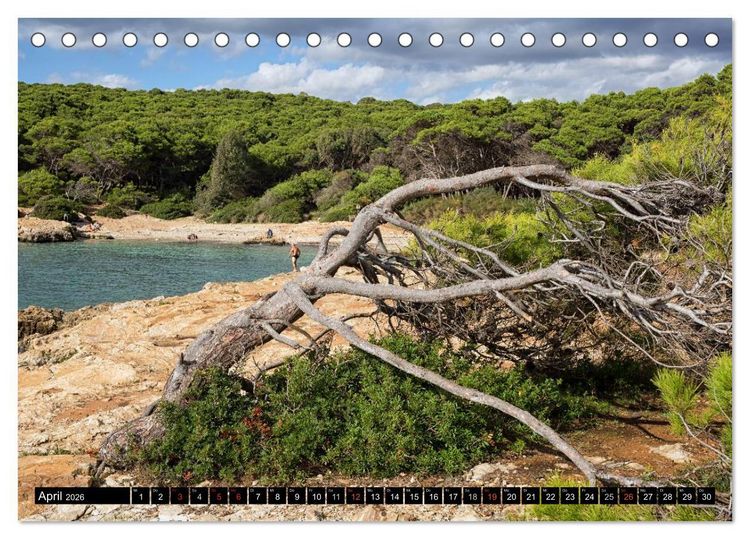 Produktbild: Gallipoli und Apulien - Faszination S&uuml;ditalien (Tischkalender 2026 DIN A5 quer), CALVENDO Monatskalender