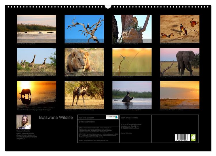 Produktbild: Botswana Wildlife (Wandkalender 2026 DIN A2 quer), CALVENDO Monatskalender