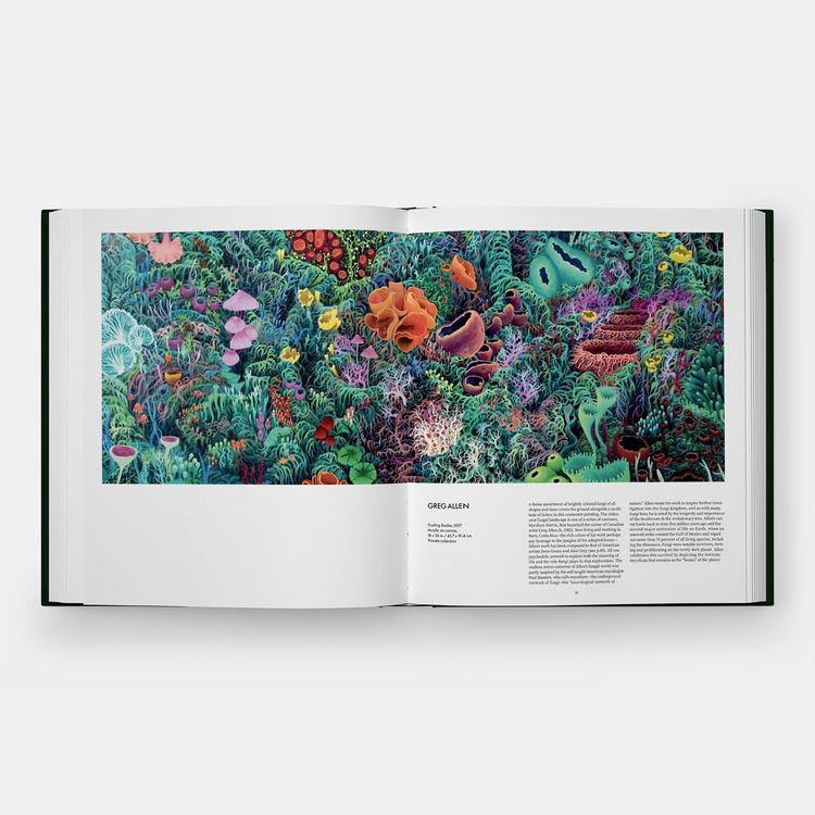 Produktbild: Fungi