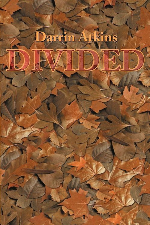 Produktbild: Divided