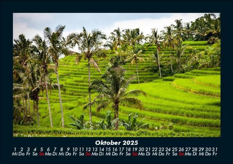 Produktbild: Palmentraum 2025 Fotokalender DIN A5