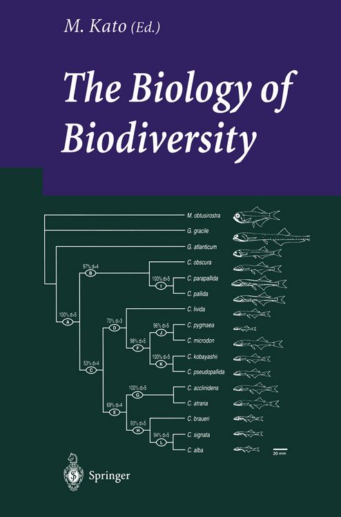 Produktbild: The Biology of Biodiversity