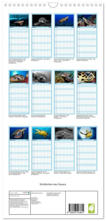 Produktbild: Familienplaner 2026 - Schildkr&ouml;ten des Ozeans mit 5 Spalten (Wandkalender, 21 x 45 cm) CALVENDO