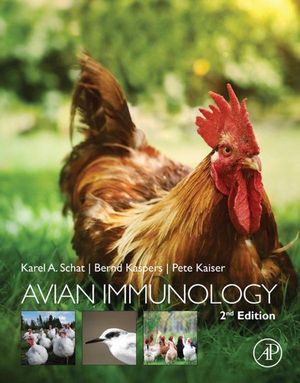 Produktbild: Avian Immunology