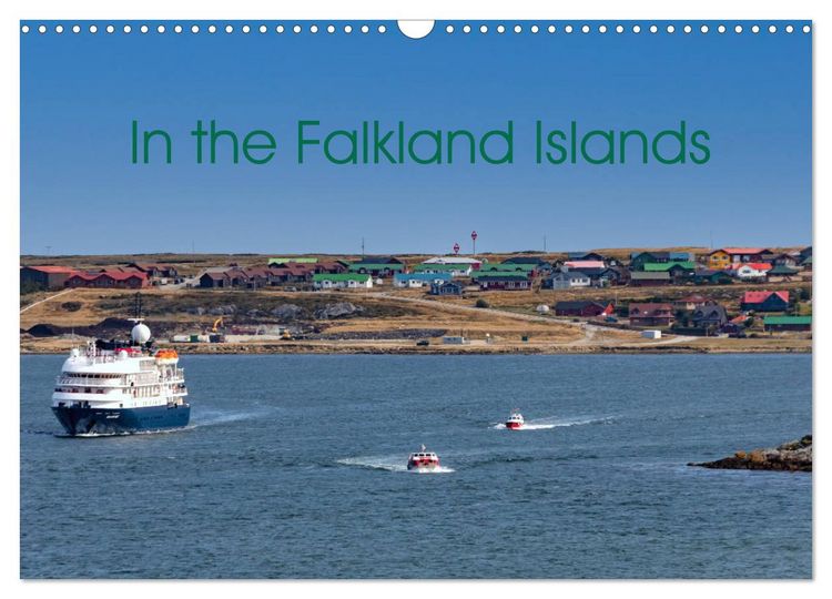 Produktbild: In the Falkland Islands (Wall Calendar 2026 DIN A3 landscape), CALVENDO 12 Month Wall Calendar