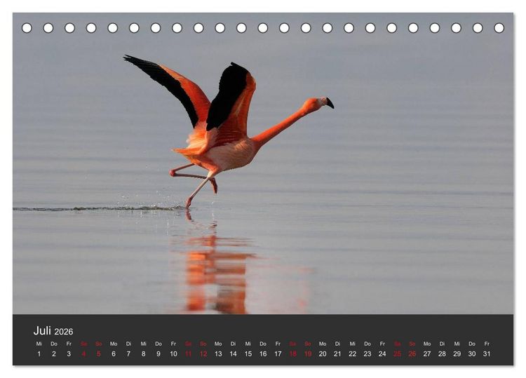 Produktbild: Pretty Flamingo (Tischkalender 2026 DIN A5 quer), CALVENDO Monatskalender