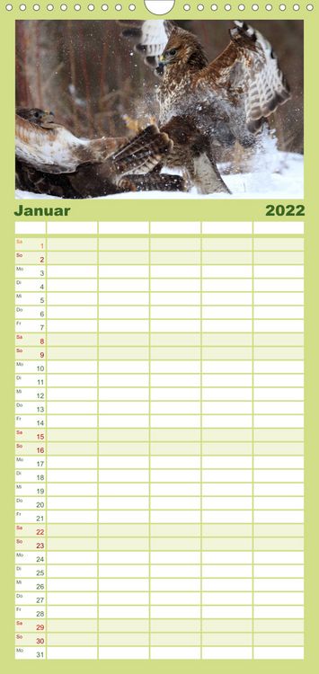Produktbild: Familienplaner Weltnaturerbe Hainich (Wandkalender 2022 , 21 cm x 45 cm, hoch)