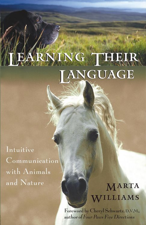 Produktbild: Learning Their Language