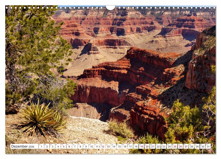 Produktbild: Grand Canyon, Nationalpark (Wandkalender 2026 DIN A3 quer), CALVENDO Monatskalender