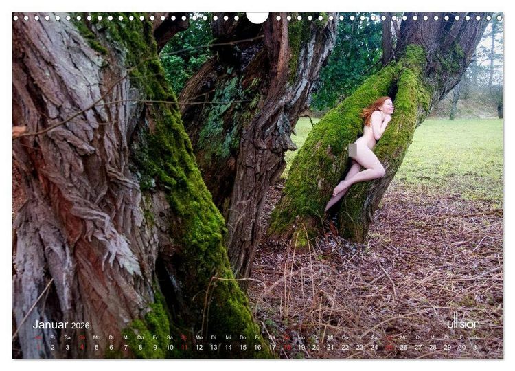 Produktbild: Lieblingsb&auml;ume - eins mit der Natur (Wandkalender 2026 DIN A3 quer), CALVENDO Monatskalender