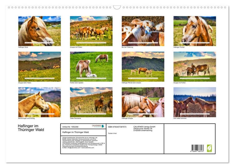 Produktbild: Haflinger im Th&uuml;ringer Wald (Wandkalender 2026 DIN A2 quer), CALVENDO Monatskalender