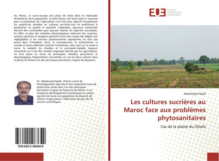 Produktbild: Les cultures sucri&egrave;res au Maroc face aux probl&egrave;mes phytosanitaires