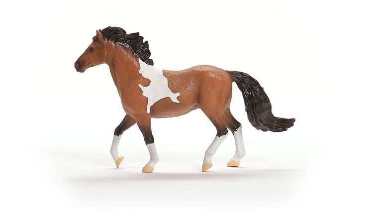 Produktbild: schleich&reg; Horse Club Mangalarga Marchador Hengst 11,3cm