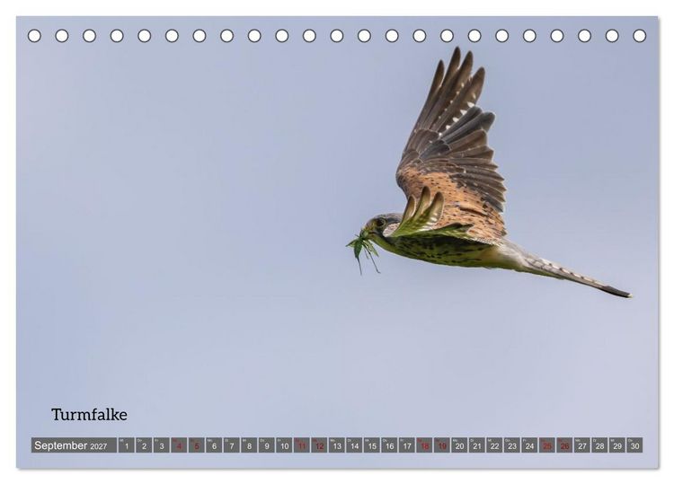 Produktbild: Vogelfotografie aus dem Norden (Tischkalender 2027 DIN A5 quer), CALVENDO Monatskalender