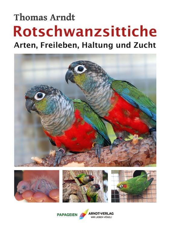 Produktbild: Rotschwanzsittiche