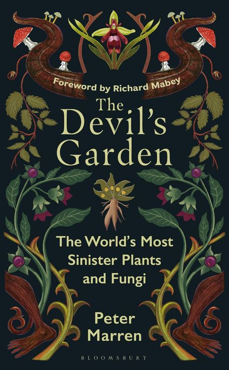 Produktbild: The Devil's Garden