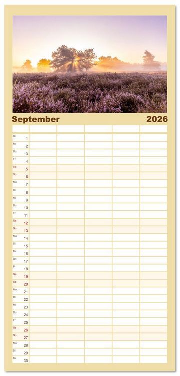 Produktbild: Familienplaner 2026 - Bunter Pf&auml;lzerwald mit 5 Spalten (Wandkalender, 21 x 45 cm) CALVENDO
