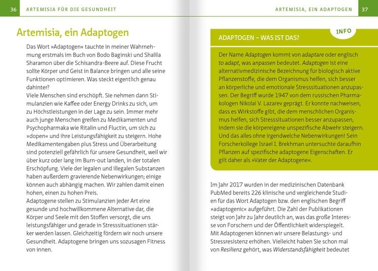 Artemisia annua – Heilpflanze der Götter. Kompakt-Ratgeber