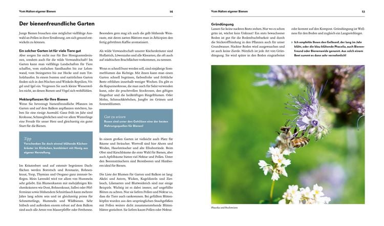 Produktbild: Imkern &ndash; Bienenhaltung f&uuml;r Einsteiger