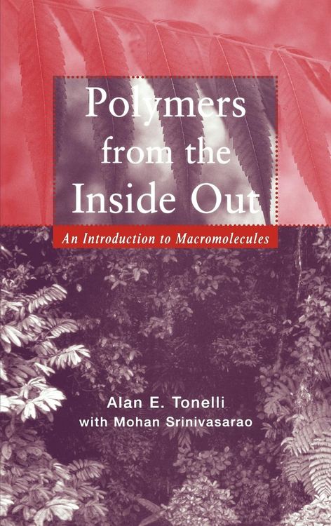 Produktbild: Polymers from the Inside Out: An Introduction to Macromolecules