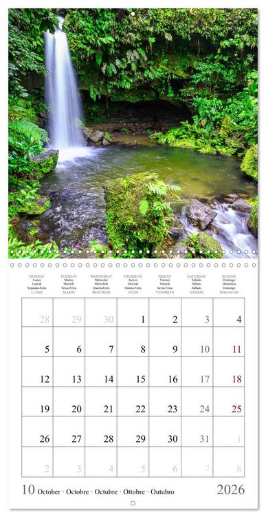 Produktbild: Dream destinations in the Caribbean (Wall Calendar 2026 12 &times; 12 Inch) CALVENDO 12 Month Wall Calendar