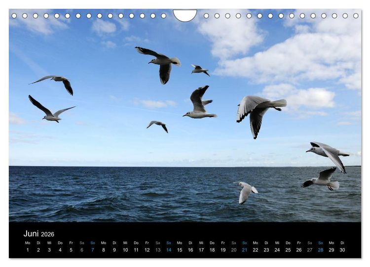 Produktbild: Ostseestrand Graal-M&uuml;ritz (Wandkalender 2026 DIN A4 quer), CALVENDO Monatskalender