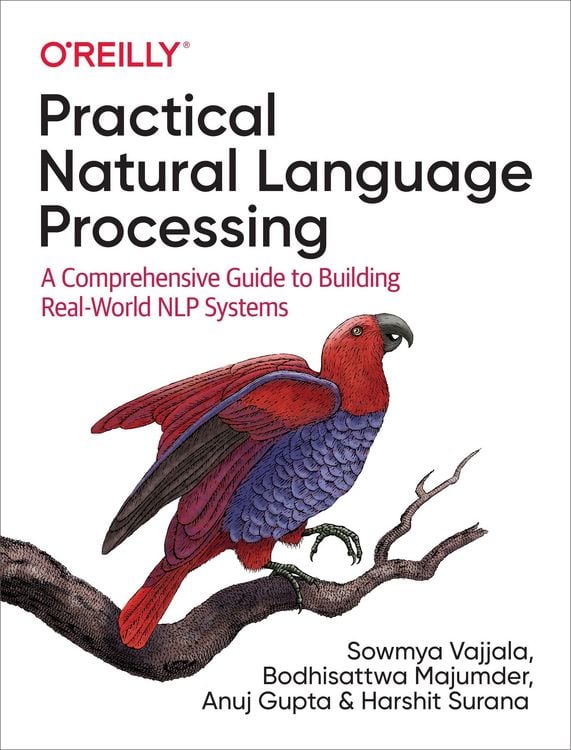 Produktbild: Practical Natural Language Processing