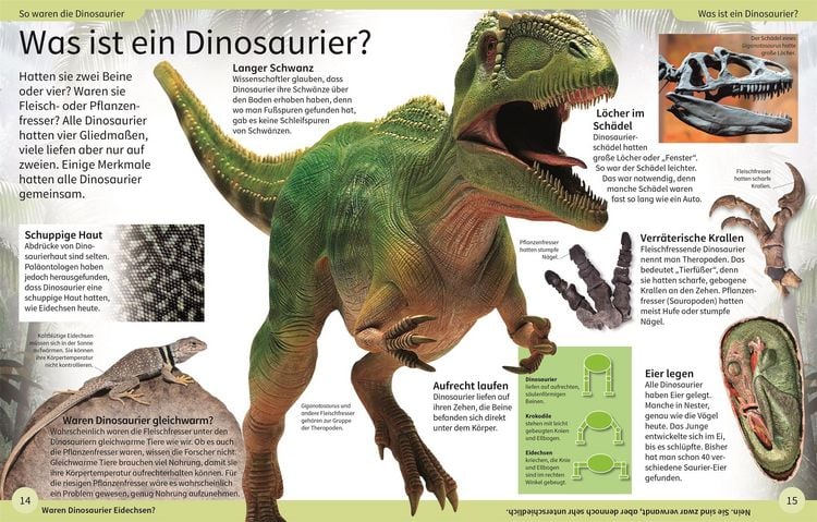 3D Dinosaurier Buch Enzyklopädie - Interaktives Popup Buch Für Kinder