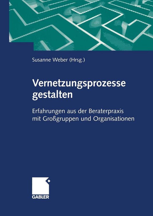 Produktbild: Vernetzungsprozesse gestalten