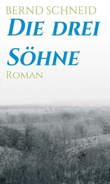 Produktbild: Die drei S&ouml;hne